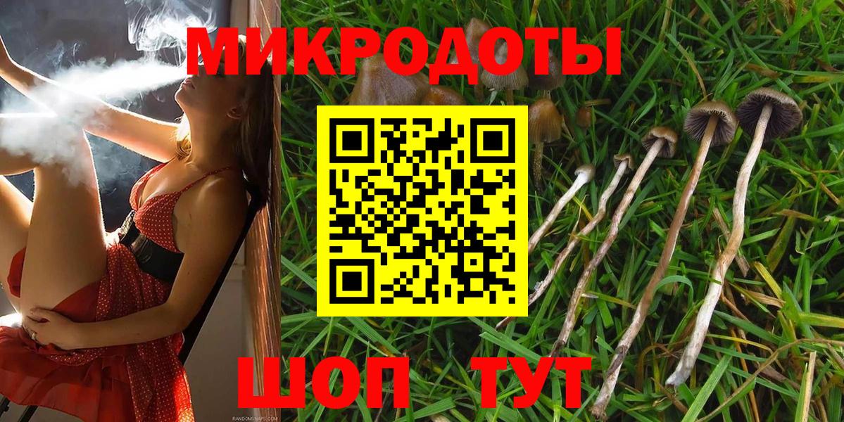 Галлюциногенные грибы GOLDEN TEACHER  Псилоцибиновые грибы Cubensis  Вход с VPN  Петрозаводск 