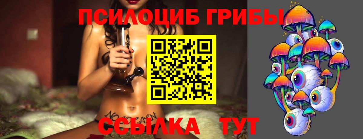 Галлюциногенные грибы Psilocybe Петрозаводск